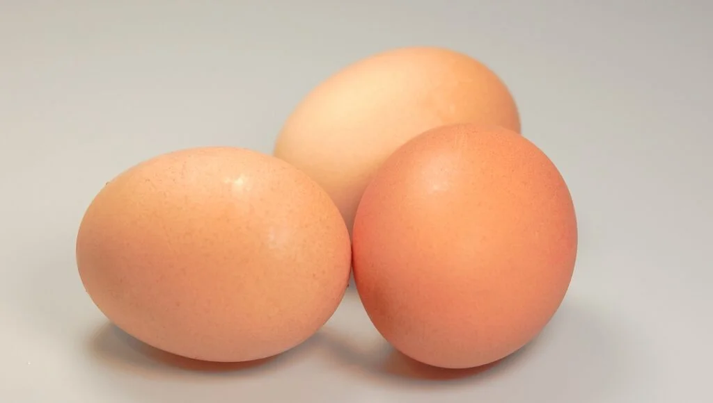 egg wipes