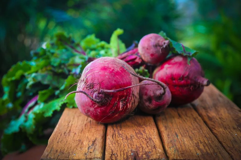 beet growing guide