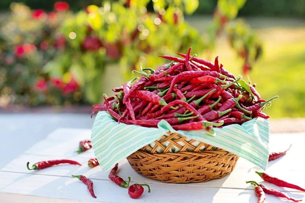 cayenne-peppers-chili-peppers-red-peppers-2779828 cayenne peppers, chili peppers, red peppers-2779828.jpg
