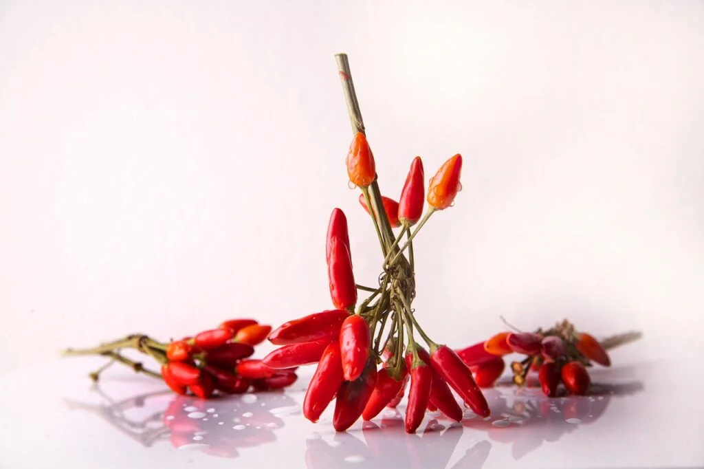 chili-seasoning-chilli-pods-664635 chili, seasoning, chilli pods-664635.jpg