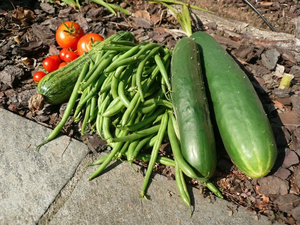 vegetables, cucumber, green beans-1989428.jpg