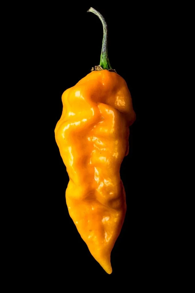 yellow-pepper-vegetable-isolated-on-black-3978205 yellow pepper, vegetable, isolated on black-3978205.jpg