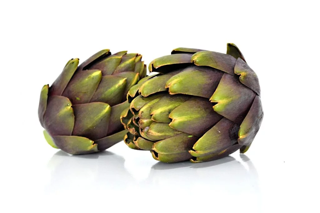 artichoke, cynara scolymus, medicinal-4559730.jpg