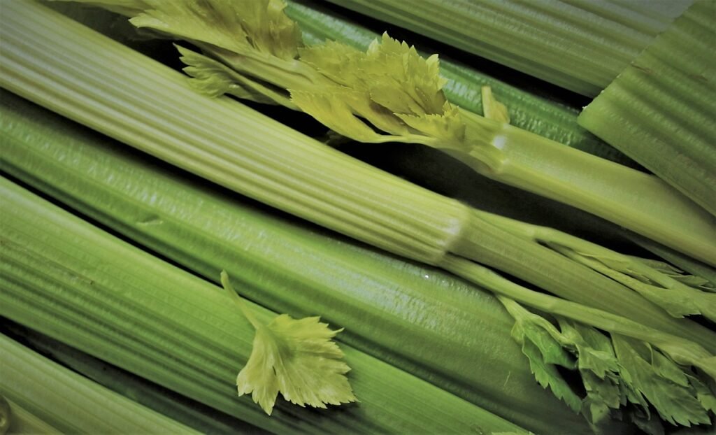 vitamins-a-vegetable-celery-5048733 vitamins, a vegetable, celery-5048733.jpg