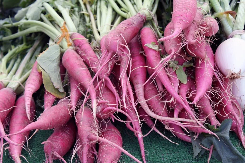 carrot-parsnip-farmers-3936797 carrot, parsnip, farmers-3936797.jpg