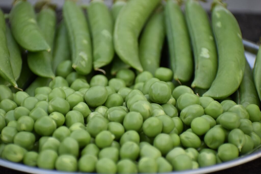 green-peas-fresh-peas-5352094 green peas, fresh, peas-5352094.jpg