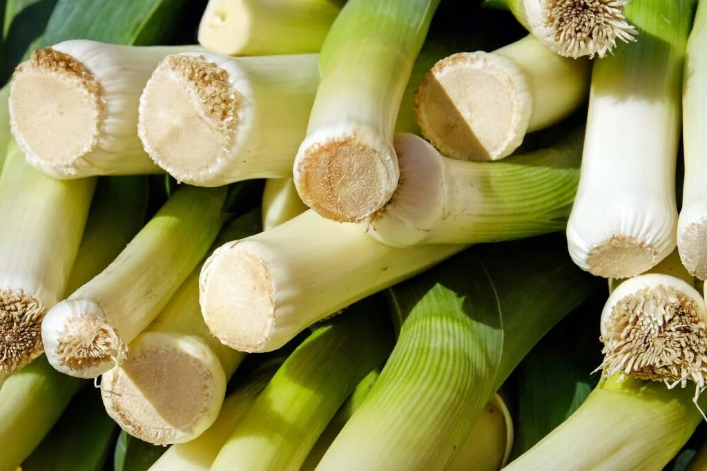 leek, vegetables, stalk-2199563.jpg