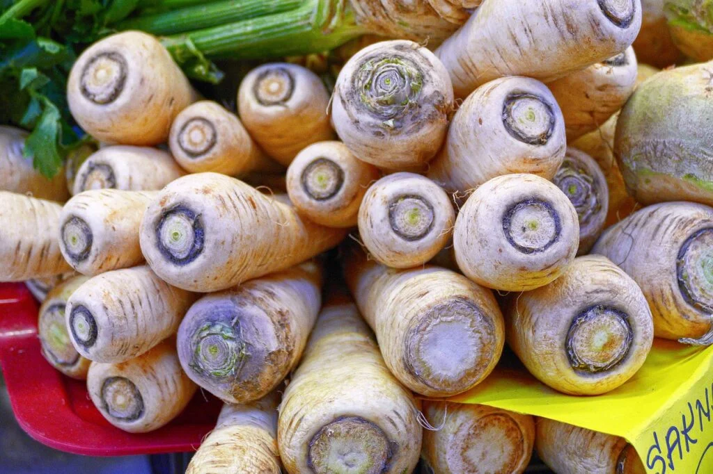 parsnips, root vegetable, beets-2810706.jpg