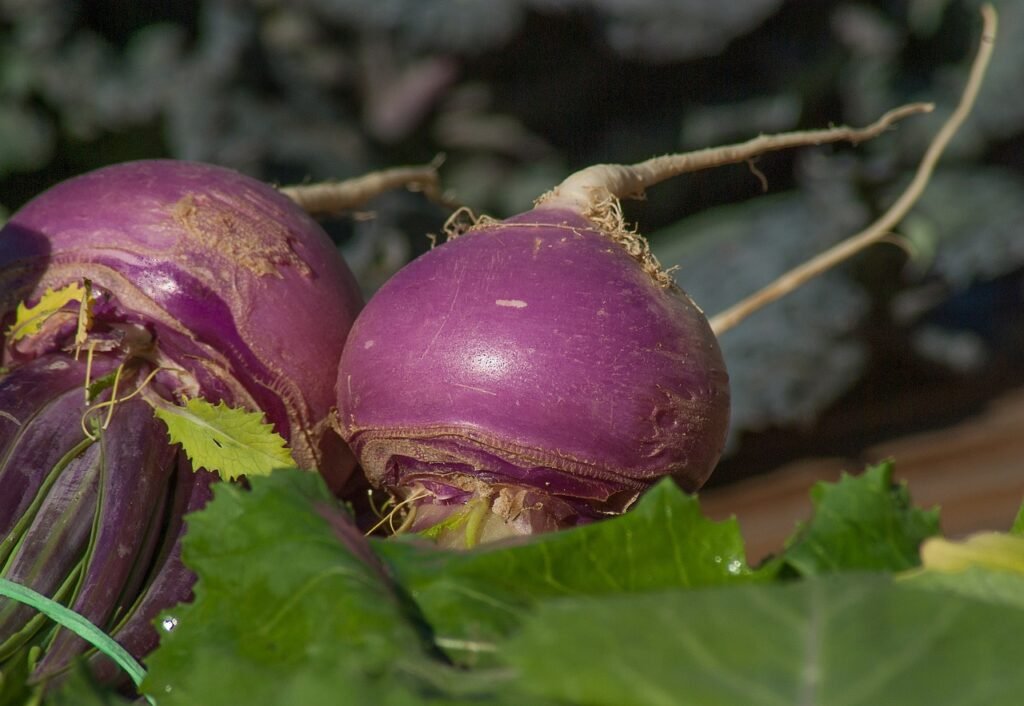 turnips, vegetables, soup-2097780.jpg