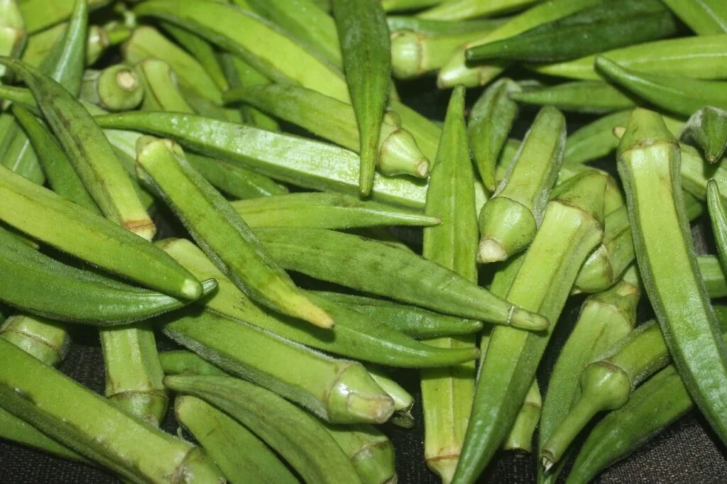 vegetable-okra-bhindi-5323257 vegetable, okra, bhindi-5323257.jpg